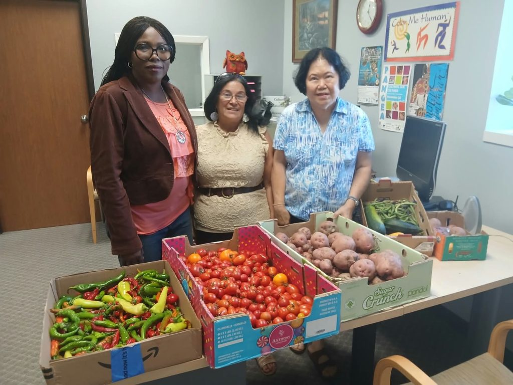 Growing Together Community Gardens and Global Support Initiatives (GSI) donates fresh garden vegetables to Cultural Diversity Resources ( CDR) in Moorhead MN SEPTEMBER 10 2026
